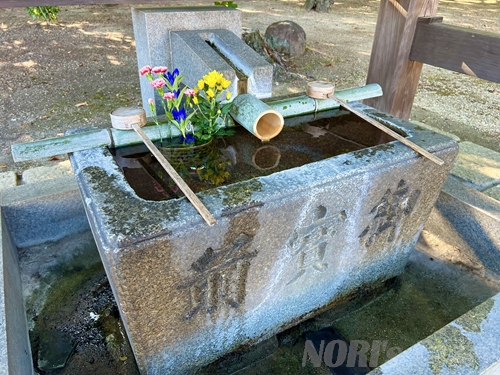 手水舎にお花
