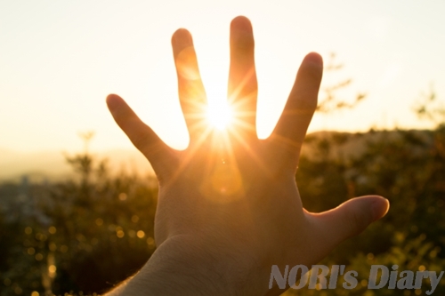 夕日（または朝日）の強い光に向かって、広げた右手をかざしている様子。指の間から太陽の光が鮮明な放射状の光条（サンバースト）となって漏れ出し、手のシルエットが強調されている。