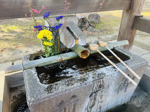 色鮮やかな花が供えられた、お一日参りの神社にある清々しい手水舎