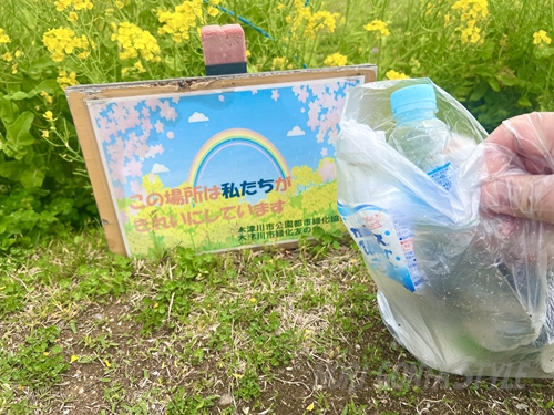 菜の花が咲く公園で、拾った大量のゴミ（ペットボトルなど）を袋に入れて持つ手。