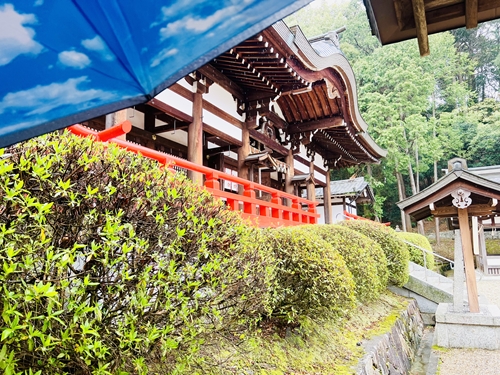 神社の社殿。朱色の欄干と屋根。手前に生垣。